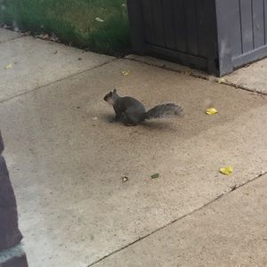 Meet your Posher, Seth